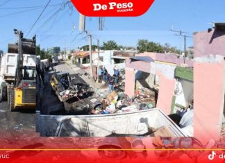 Sacan al menos 21 toneladas de basura de un predio en Cordemex