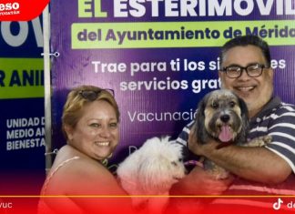 Carnaval ‘Pet Friendly’ ofrecerá vacunación y adopción de perros y gatos