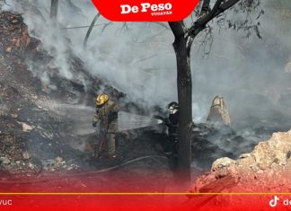 Incendios forestales han afectado al menos 118 hectáreas en Yucatán y Campeche