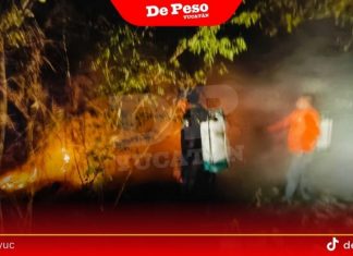 Ante alza en incendios en Motul, mejoran recursos y exhortan a evitar malas prácticas