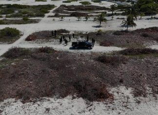 Confirman devastación de miles de metros de mangle en Sisal