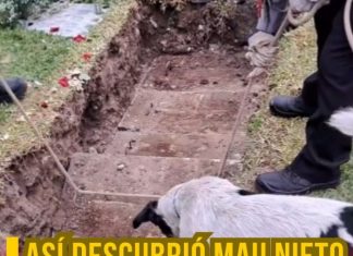 Conmovedor: perrito demuestra fidelidad a su dueño en su funeral (VIDEO)