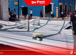 Toman medidas preventivas en Valladolid, ante detección del primer caso del gusano barrenador