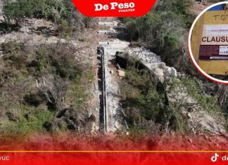 Profepa clausura temporalmente mega proyecto inmobiliario en Kinchil