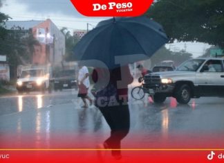 Esperan lluvias de diversa intensidad y fuertes vientos a partir de la próxima semana