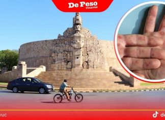 Reaparece la viruela del mono en Yucatán: primer caso en dos años