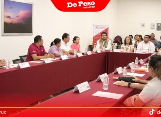 Instalan comité para monitorear marea roja en litoral yucateco