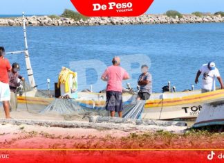 Buscan castigar la pesca ilegal hasta con 9 años de cárcel