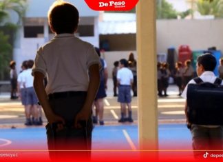 Este es el nuevo calendario de la Segey para el próximo ciclo escolar