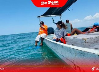 Marea roja en la costa amenaza venta de mariscos en Yucatán