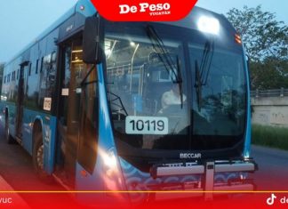 Gobierno revela situación insostenible con el servicio del ‘Va y ven’