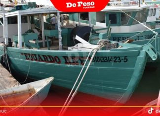 Veda por marea roja en la costa yucateca impacta a pescadores