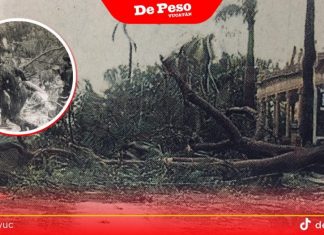 23 años después, Isidore sigue vivo en la memoria y la preparación de Yucatán