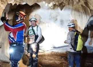 Descubren espeleólogos yucatecos cuatro cuevas en zona remota
