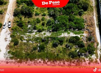 Profepa clausura 5 desarrollos inmobiliarios en la costa yucateca