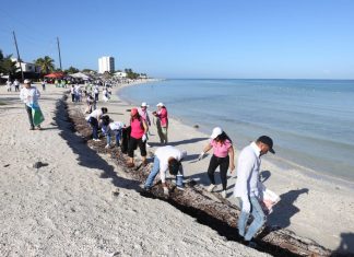 Voluntariado Kekén realiza limpieza de playas en el puerto de Yucalpetén