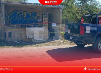 Hallan a una persona sin vida en Mulchechén