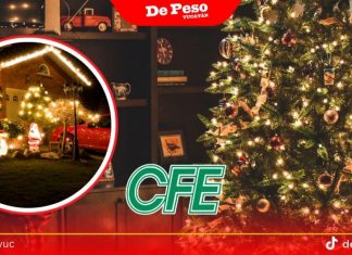 Recomendaciones de la CFE para iluminar tus fiestas decembrinas de forma segura