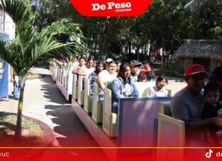 El acceso a los zoológicos del Centenario y Animaya seguirá siendo gratuito: alcaldesa de Mérida