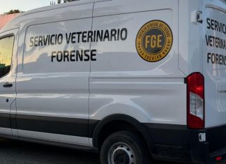 Indignante hallazgo: varios pájaros y un perro muertos en Ciudad Caucel