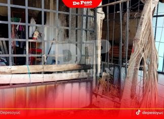 Aclara SSP: Serie de conflictos en Kanasín no tienen relación con crimen organizado
