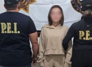 Vinculan a proceso a mujer de QRoo presuntamente ligada al Cartel de Caborca y al caso Dzilam