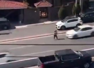 Es mamá y padece trastorno la mujer que se aventó al tráfico y fue arrollada en Monterrey (video fuerte)