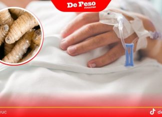Dos mujeres de Mérida fueron hospitalizadas por gusano barrenador