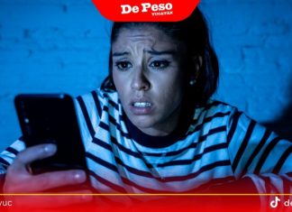 Conexiones: las redes sociales y las mujeres en México