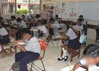 Profes claman por psicólogos en escuelas yucatecas