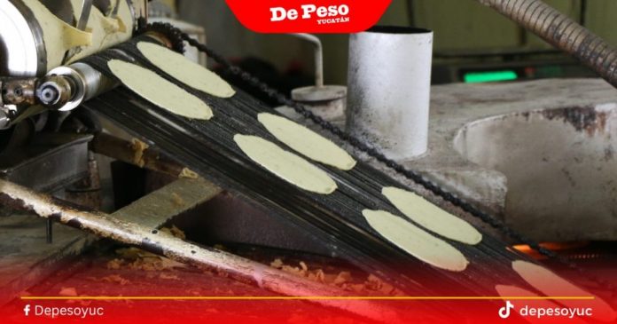 tortillas