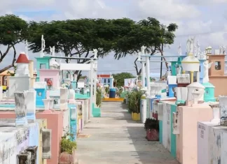 ¿Listos pa’ llevar flores a las jefitas? Hasta los “polis” estarán bien vivos por sí aparece algún chistoso.