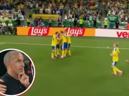 Técnico de Túnez, primer despedido en el Mundial