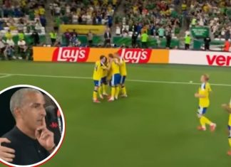 Técnico de Túnez, primer despedido en el Mundial