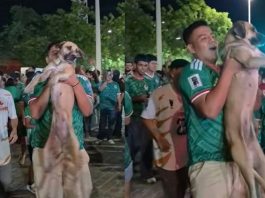 Localiza a su perrita en plenos festejos por triunfo de México