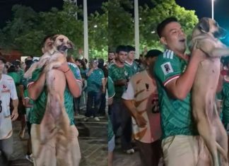 Localiza a su perrita en plenos festejos por triunfo de México