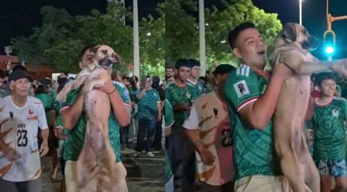 Localiza a su perrita en plenos festejos por triunfo de México