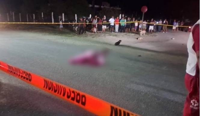 Mueren atropellados al tratar de cruzar carretera en Quintana Roo