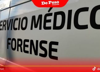 Mujer encuentra trágica escena al llegar a su casa en Ciudad Caucel