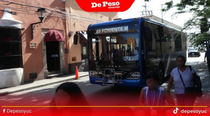 Gobierno pide tiempo a concesionarios del ‘Va y Ven’ para pagarles