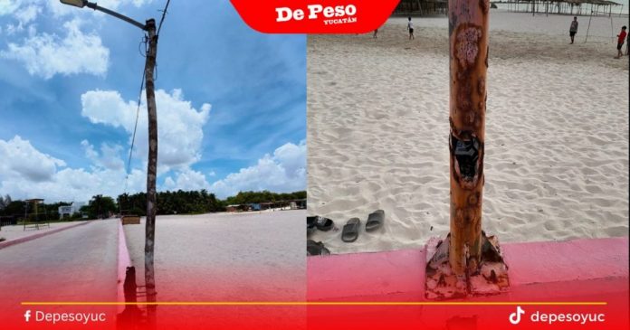 L- Diseño NOTAS DP (1)