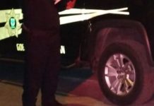 Vinculada por dar trato infernal a su lomito en la Serapio Rendón