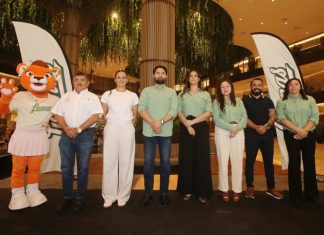 Leonas de Yucatán abren convocatoria para formar parte del equipo