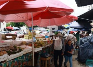 Tienen entre ceja y ceja a tolderos, por falta de regulación