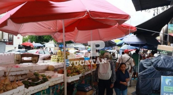 Tienen entre ceja y ceja a tolderos, por falta de regulación