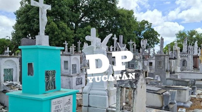 Exhortan a limpiar bóvedas antes que haya lío: jefa de Panteones de Mérida