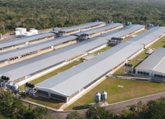 Industria porcícola de Yucatán refrenda compromiso con el cuidado del agua